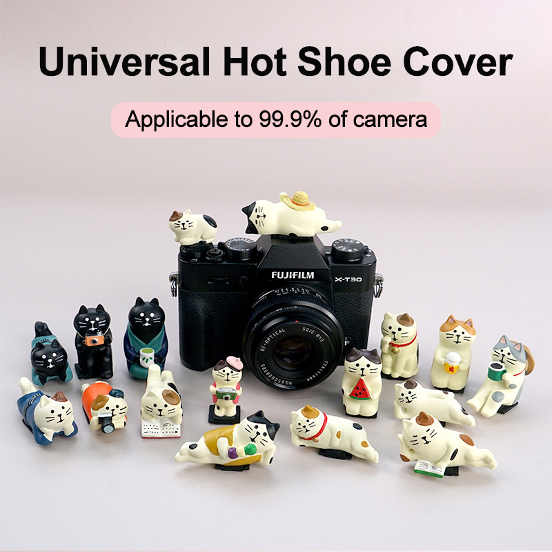 Universelle Blitzschuhabdeckun – Canon Camera Eos R50 Bewertung und Preis